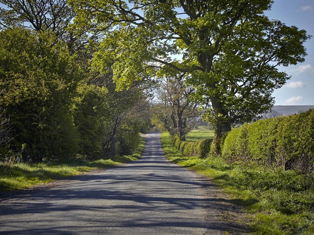 مبيت وإفطار بارنارد كاسيل Lily Hill Farm المظهر الخارجي الصورة